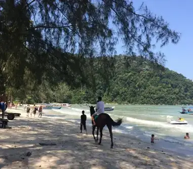 30 Tempat Menarik Di Penang Yang Rugi Tak Pergi Ammboi