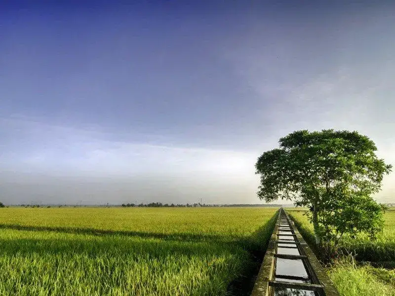 Tempat Menarik Di Sekinchan Ammboi