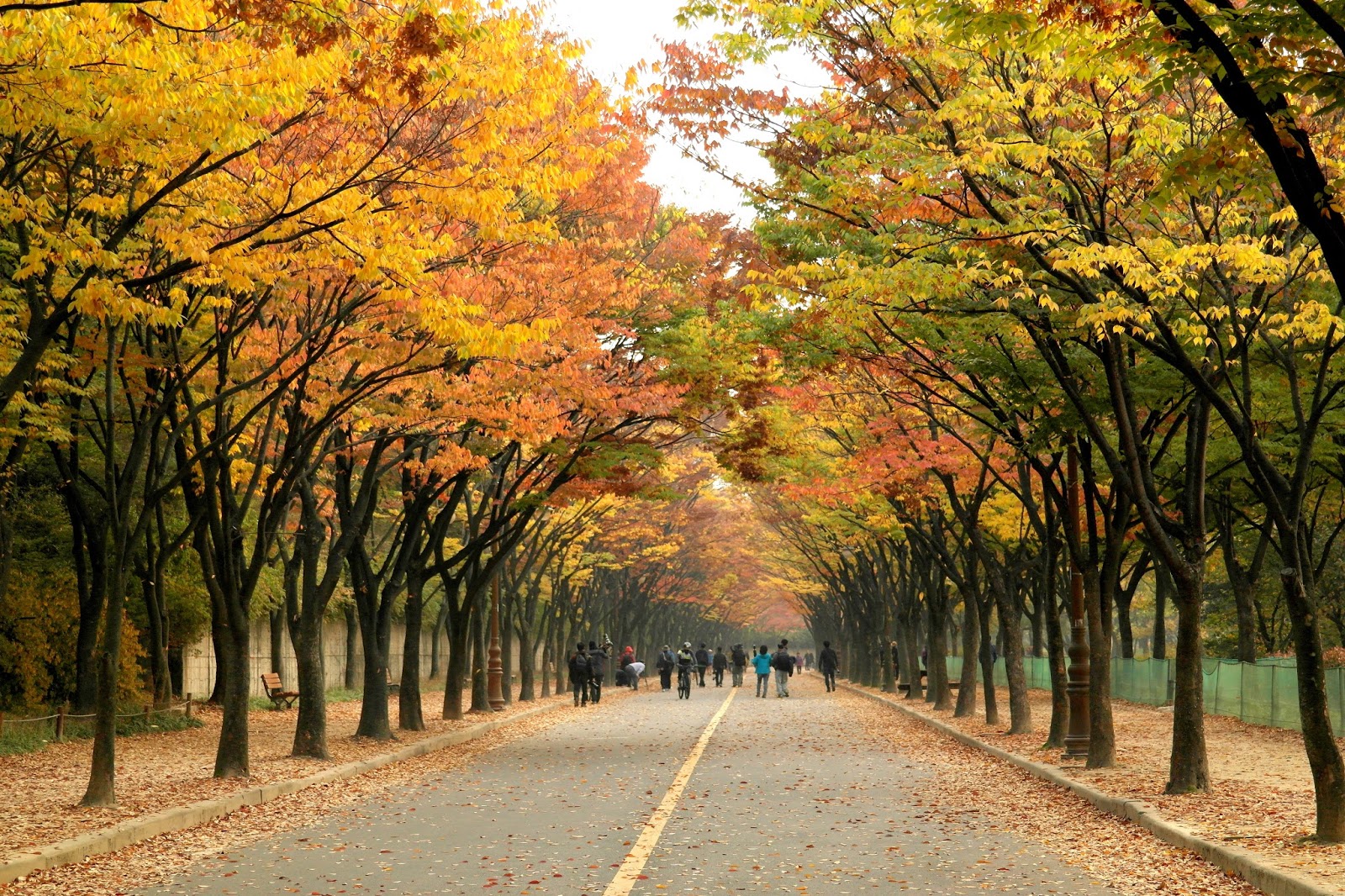 Incheon Grand Park