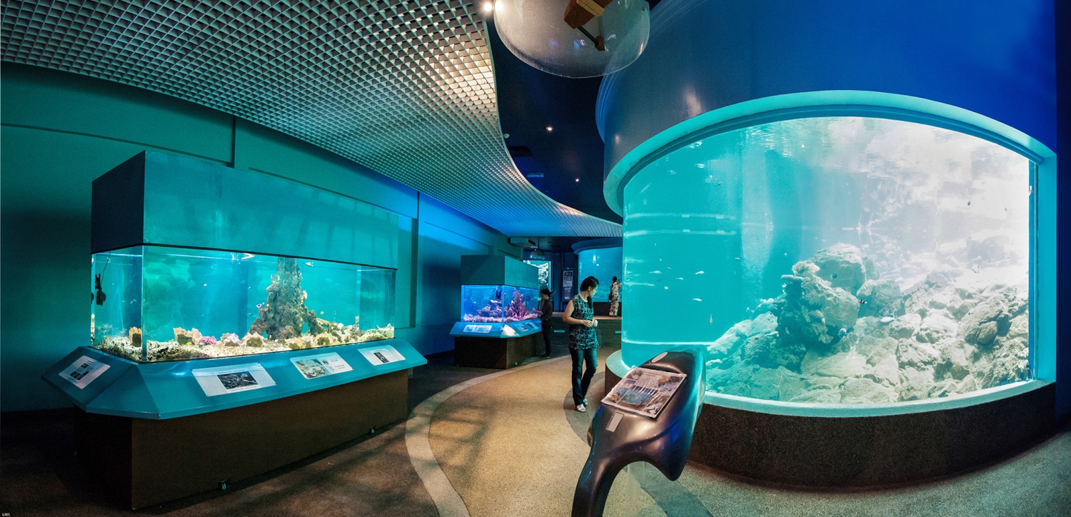 Marine Muzium Kota Kinabalu