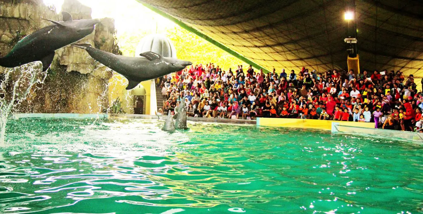Samudra Dolphin Park