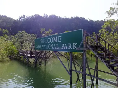19 Tempat Menarik Di Sarawak Penuh Kehijauan Alam Semula Jadi Ammboi
