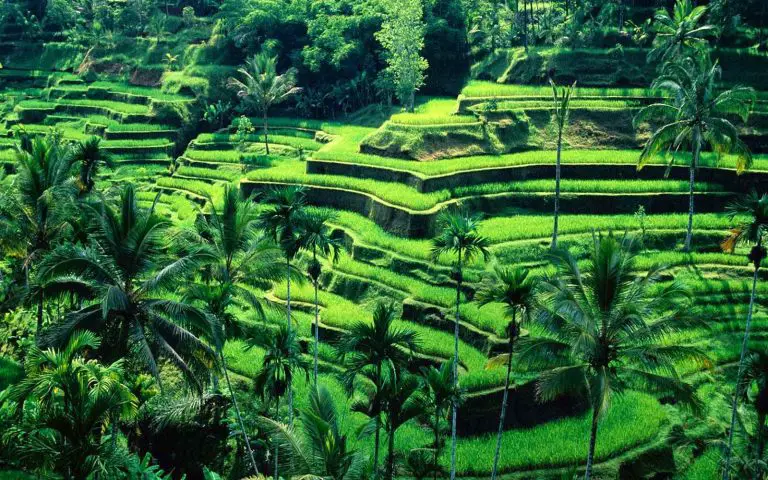 19 Tempat Menarik Di Bali. Kaya Dengan Keindahan Alam Semula Jadi!