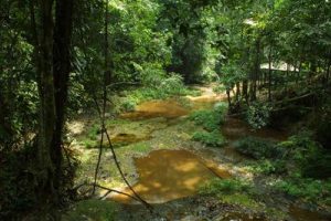 15 Tempat Menarik Di Bintulu, Sarawak Terbaik Untuk Perjalanan Anda ...