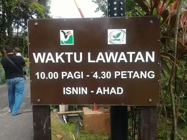 Aktiviti Menarik Di Pusat Konservasi Gajah Kebangsaan Kuala Gandah Pahang Ammboi