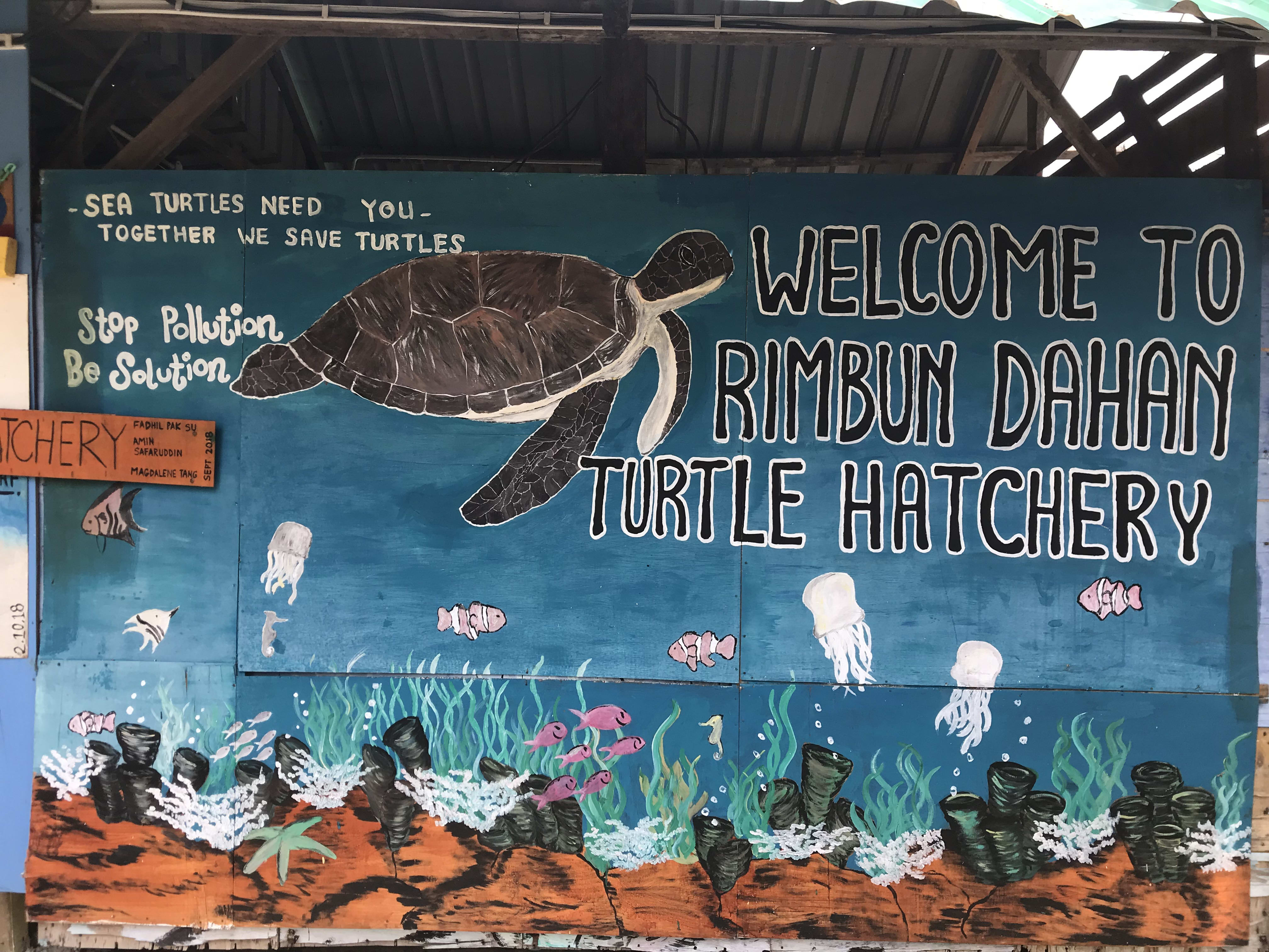 Rimbun Dahan Turtle Hatchery
