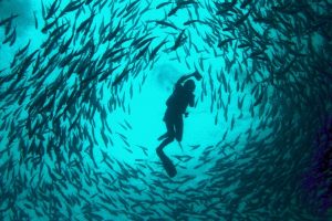 11 Tempat Menarik Di Pulau Sipadan Sangat Menakjubkan - Ammboi