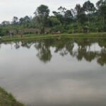 10 Tempat Memancing Di Melaka