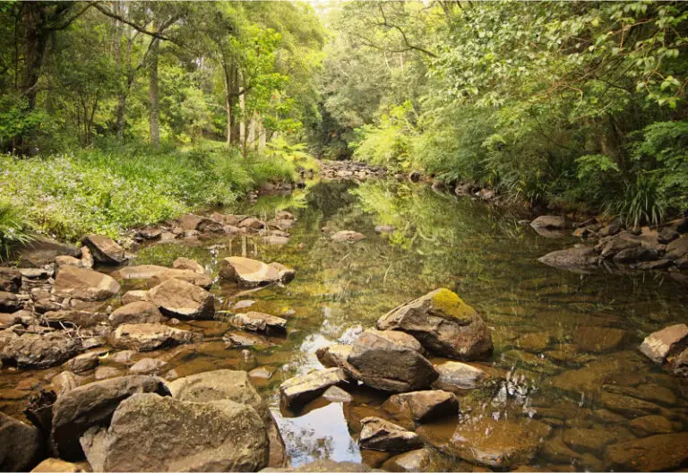 7 Chalet Tepi Sungai Di Selangor Yang Menarik