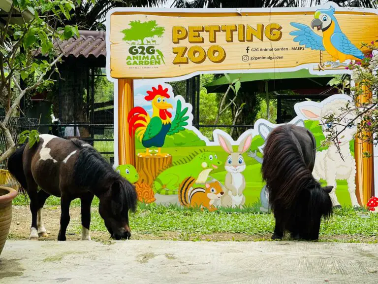 G2G Animal Garden: Tempat Petting Best